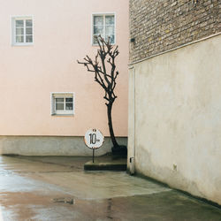 Tree by footpath against building