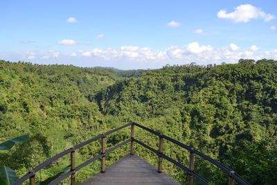 Scenic view of forest against sky