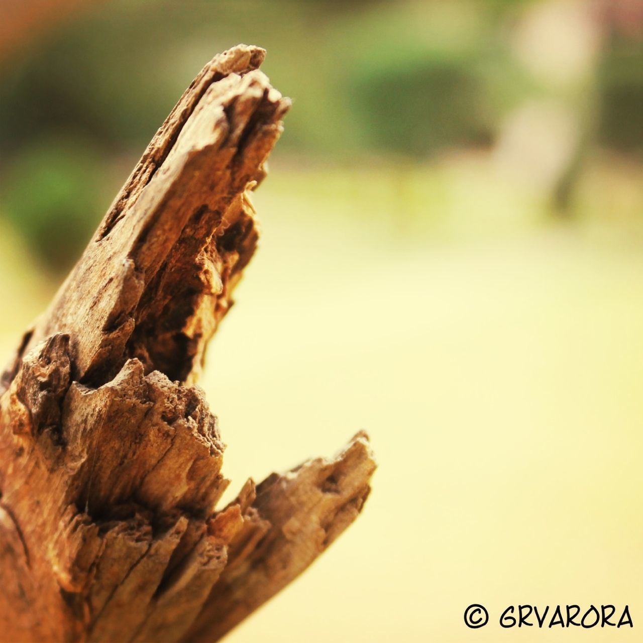 close-up, focus on foreground, textured, brown, wood - material, selective focus, nature, text, rough, day, no people, outdoors, tree trunk, natural pattern, bark, part of, western script, detail, dry, wood