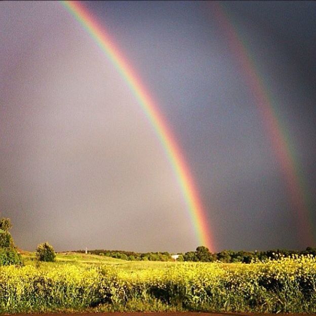 rainbow, landscape, field, scenics, beauty in nature, multi colored, tranquil scene, tranquility, sky, nature, idyllic, rural scene, grass, colorful, agriculture, outdoors, growth, no people, green color, horizon over land