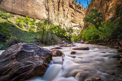 Surface level of stream flowing through rocks in forest