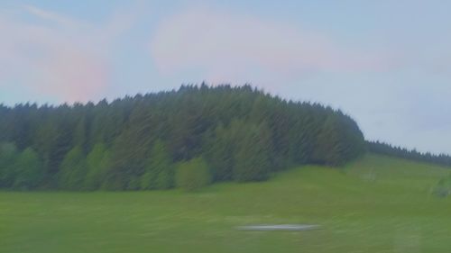 Scenic view of trees on field against sky