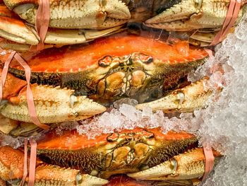 High angle view of fish for sale in market