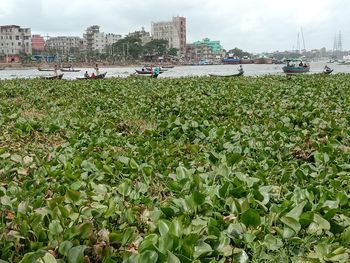 Scenic view of lake against cloudy sky