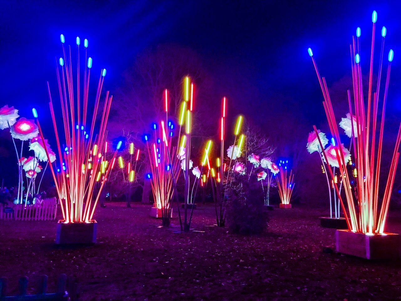 VIEW OF FIREWORKS DISPLAY AT NIGHT