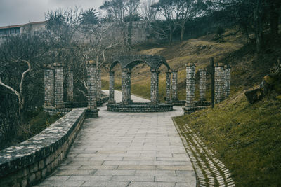 Steps amidst trees