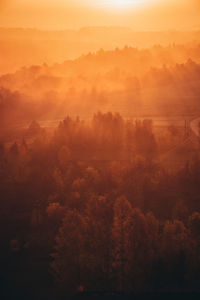 High angle view of trees during sunset