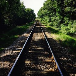 Railroad tracks amidst trees against sky