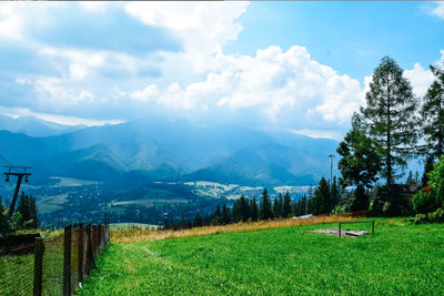 Scenic view of field against sky