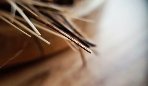 Close-up of pen