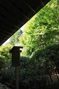 Low angle view of birdhouse on tree in forest