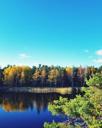 Scenic view of lake in forest against clear blue sky