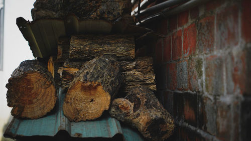 Stack of logs against wall