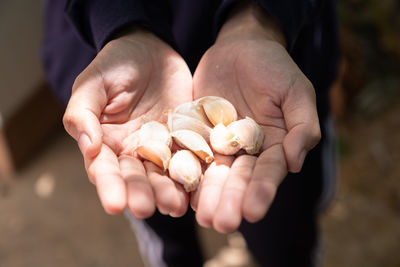 Close-up of person holding hands