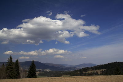 Scenic view of field against sky