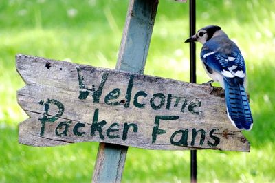 View of bird perching on a sign