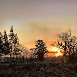 Silhouette bare trees on field against sky during sunset