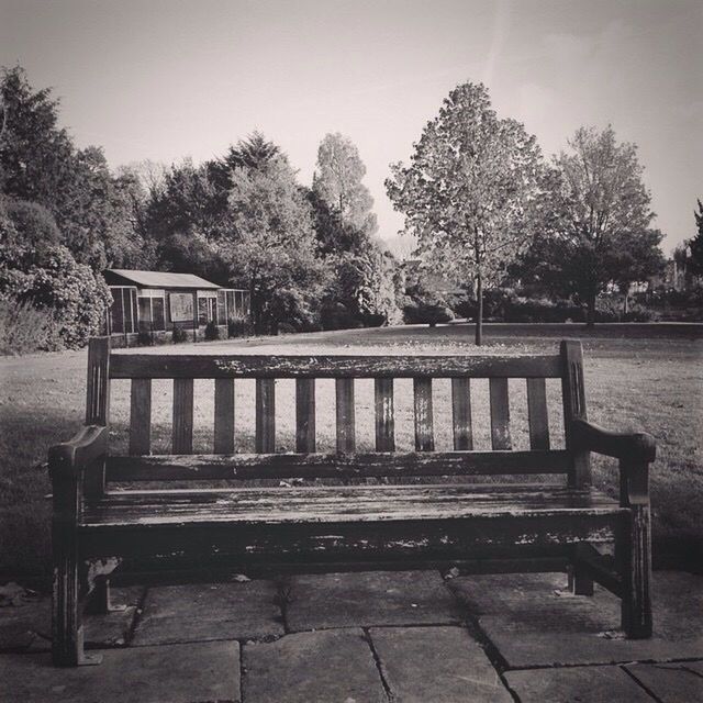 EMPTY BENCHES IN PARK