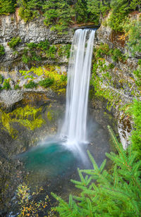 Scenic view of waterfall in forest