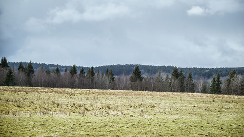 Scenic view of field against cloudy sky