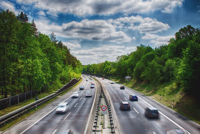 Cars on street amidst trees against sky