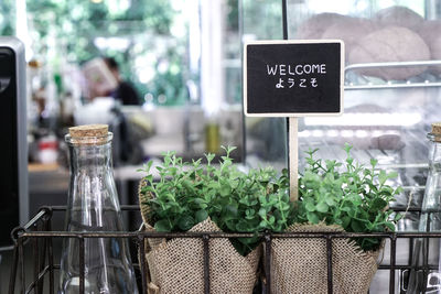 Close-up of text on plant