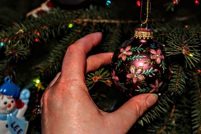 Close-up of hand holding christmas tree