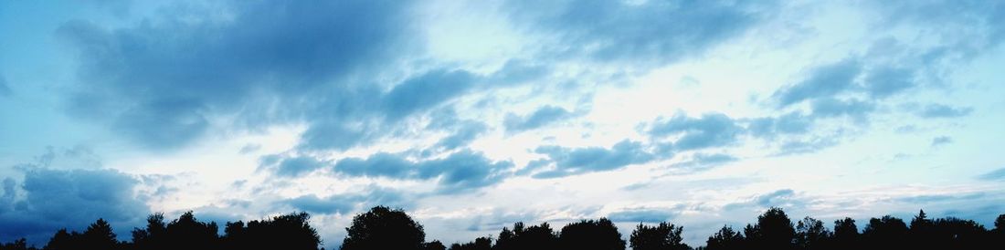 Low angle view of silhouette trees against sky