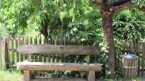 Empty bench in park