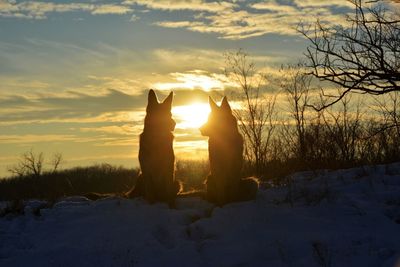 Silhouette horse on snowy field against sky during sunset