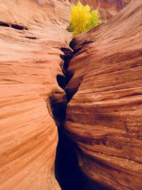 Close-up of rock formation