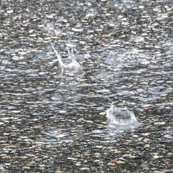 Close-up of frozen water