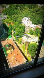 High angle view of trees and landscape seen through window