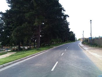 Empty road along trees