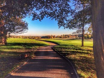 Scenic view of grassy field