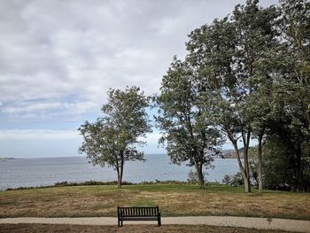 Trees on bench by sea against sky