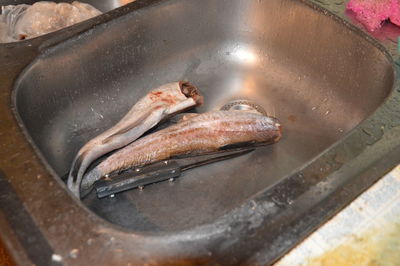 High angle view of fish in container