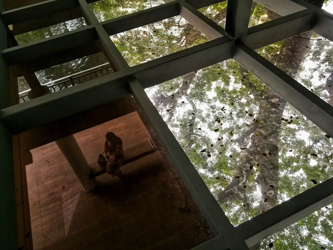 LOW ANGLE VIEW OF WOMAN GLASS WINDOW