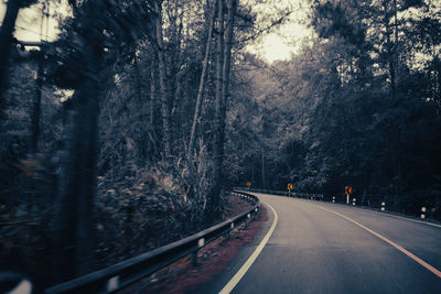 Road amidst trees in forest