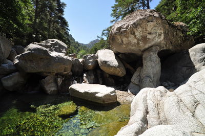 Rock formation amidst trees against sky