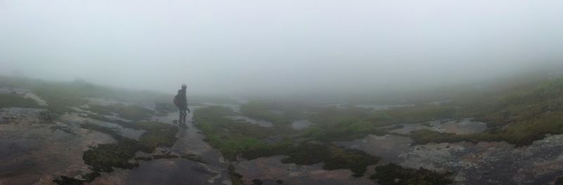 Scenic view of landscape in foggy weather