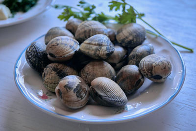 High angle view of snails in plate on table