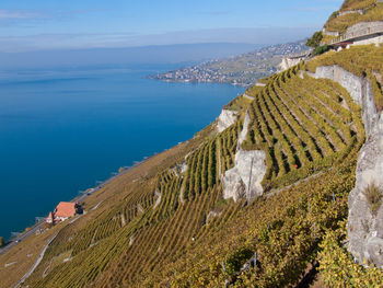 Scenic view of lavaux vineyard terraces by sea