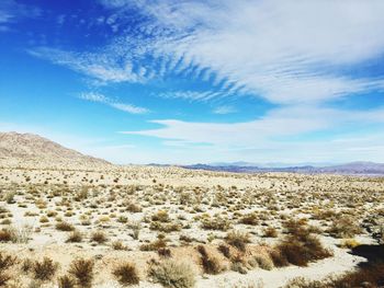 View of desert landscape against sky