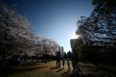 People walking by trees against clear sky