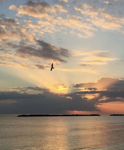 Silhouette bird flying over sea against sky during sunset