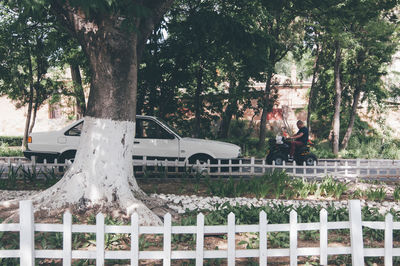 Built structure by trees on fence