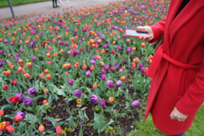 Low section of woman with red flowers in park