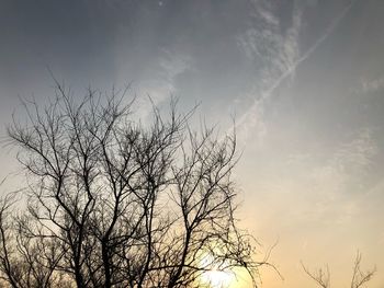 Low angle view of silhouette bare tree against sky