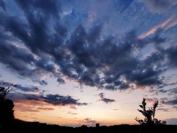 Low angle view of silhouette trees against sky during sunset